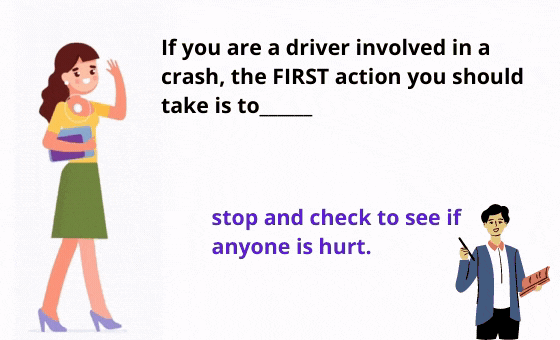 29 Kopie flitskaarten sri (47)