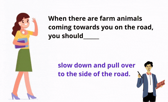 8 Kopie flitskaarten sri (26)